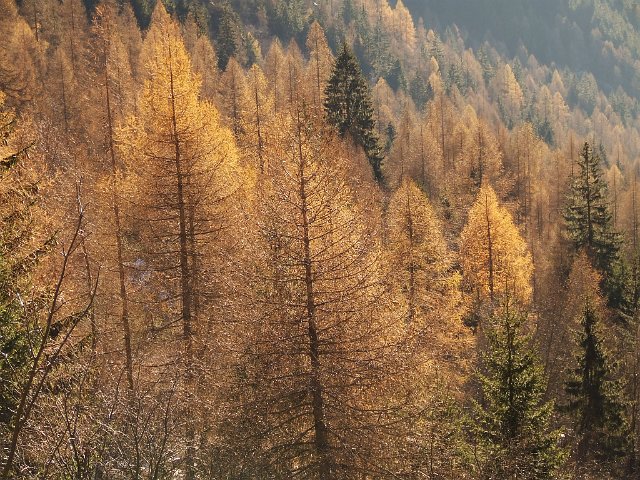 Laghi del Venerocolo (71)